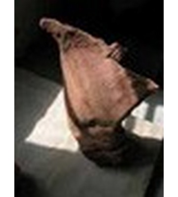 Guerriero